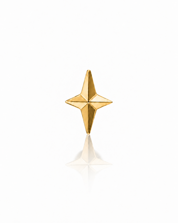 "Small star" ear stud - anodized titanium labret with a star
