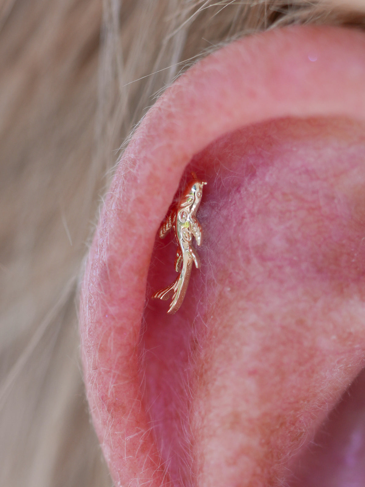 Kolczyk do ucha "Golden Koi Fish" - nakrętka 14K w kształcie rybki Koi