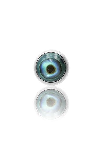 Kolczyk do ucha "1 stone peacock" – tytanowy labret z muszlą abalone