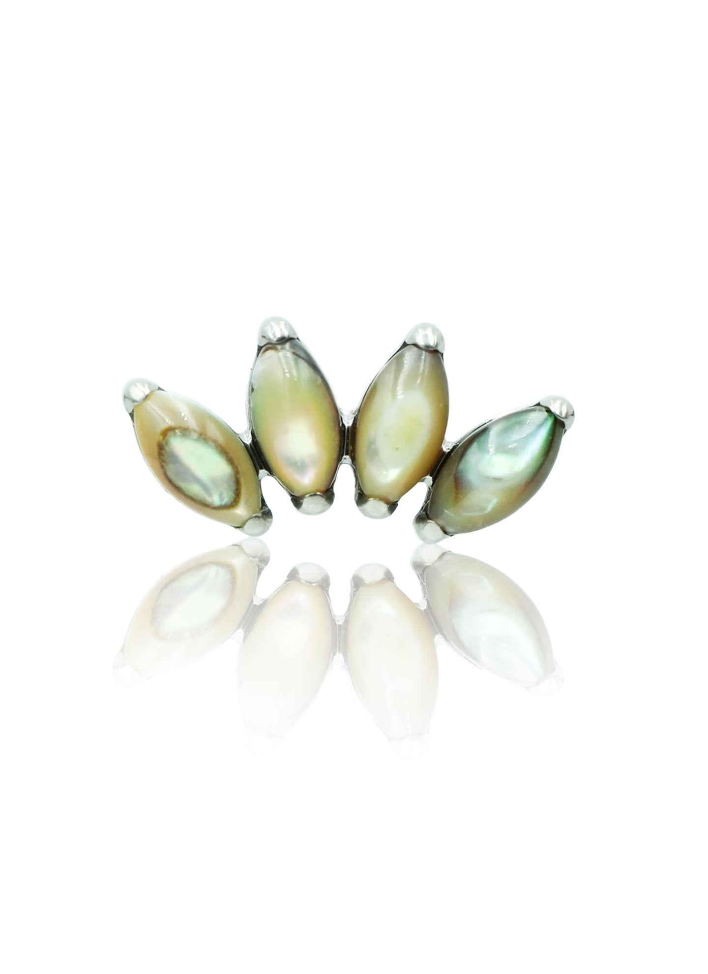 Kolczyk do ucha "4 stone peacock" – tytanowy labret z muszlą abalone