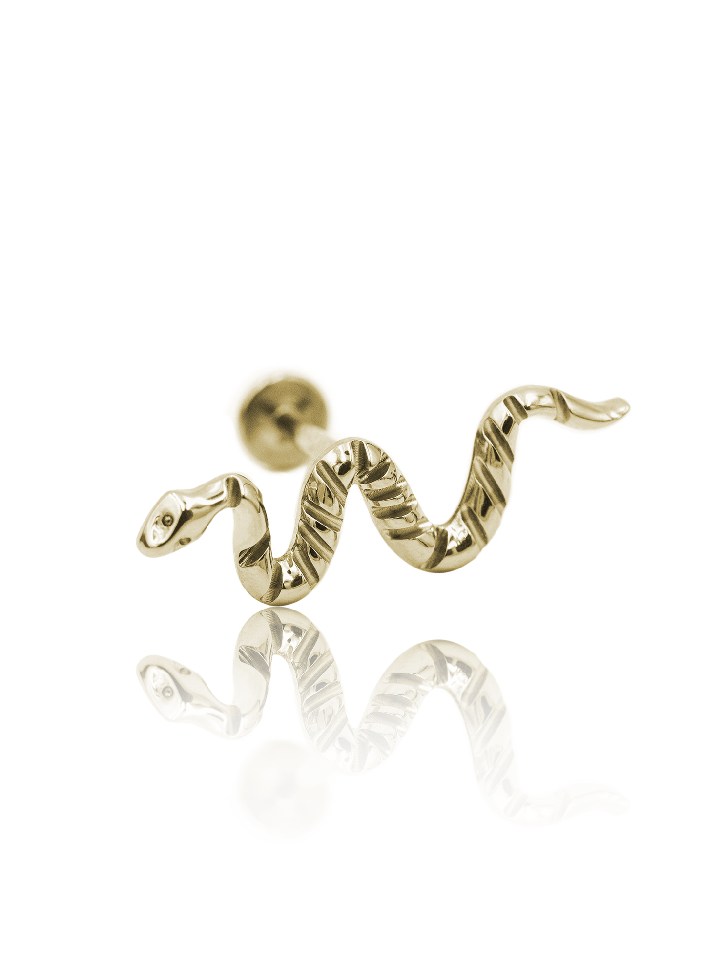 Kolczyk do ucha "Sssnake" - anodyzowany tytanowy labret z wężem