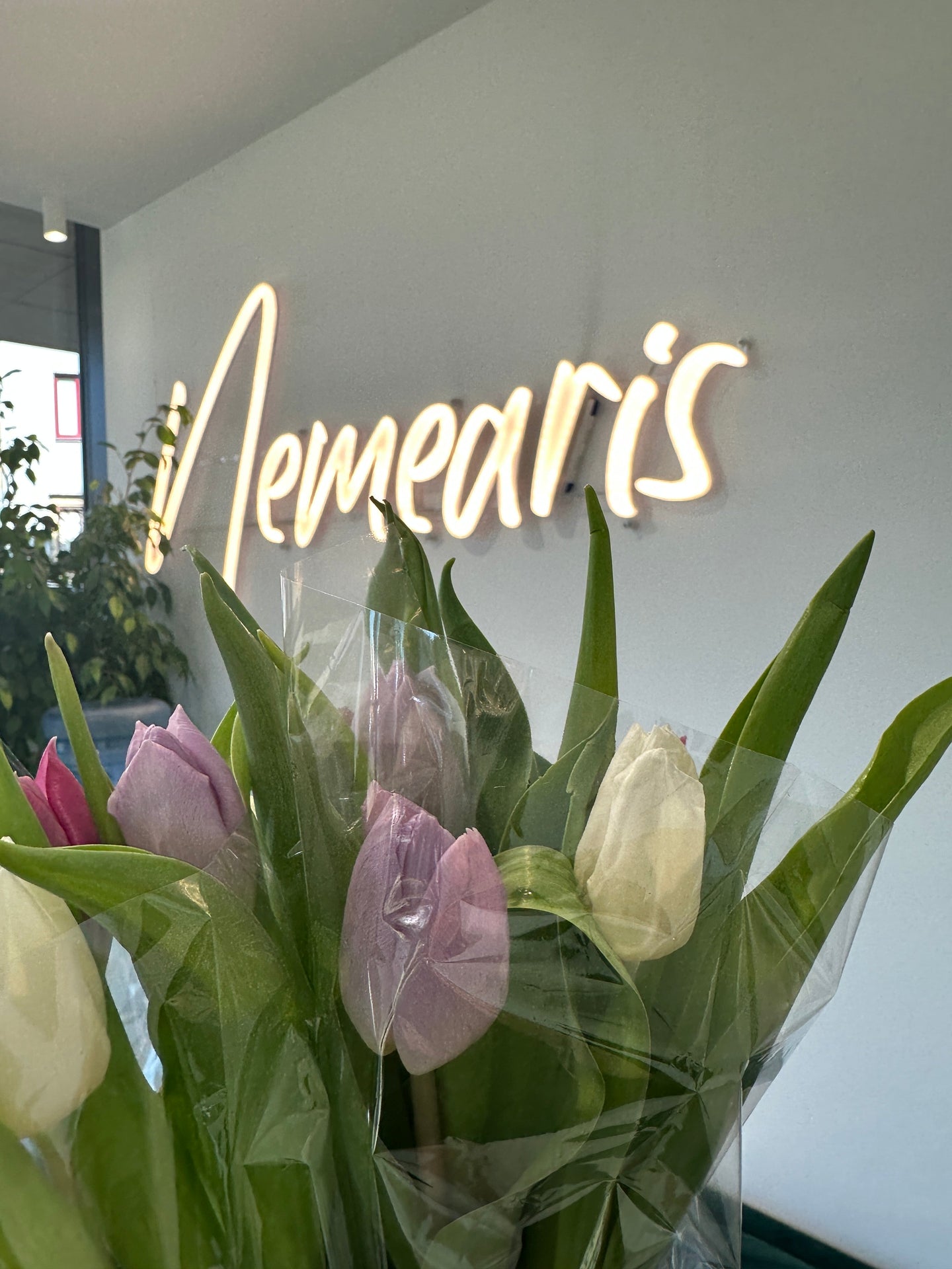 pierwsze przekłucie; gojenie piercingu; piercing cena; salon piercingu Kraków; studio piercingu Kraków; ozdobne kolczyki do piercingu; przekłuwanie uszu; pielęgnacja piercingu