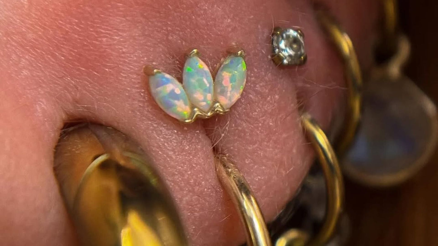 biżuteria do piercingu, kolczyki do uszu, kolczyki do wargi, kolczyk owalny, kolczyk labret, kolczyki w sutkach, kolczyk kółko