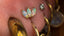 biżuteria do piercingu, kolczyki do uszu, kolczyki do wargi, kolczyk owalny, kolczyk labret, kolczyki w sutkach, kolczyk kółko