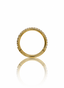 Straight line gold earring - titanium clicker with cubic zirconia