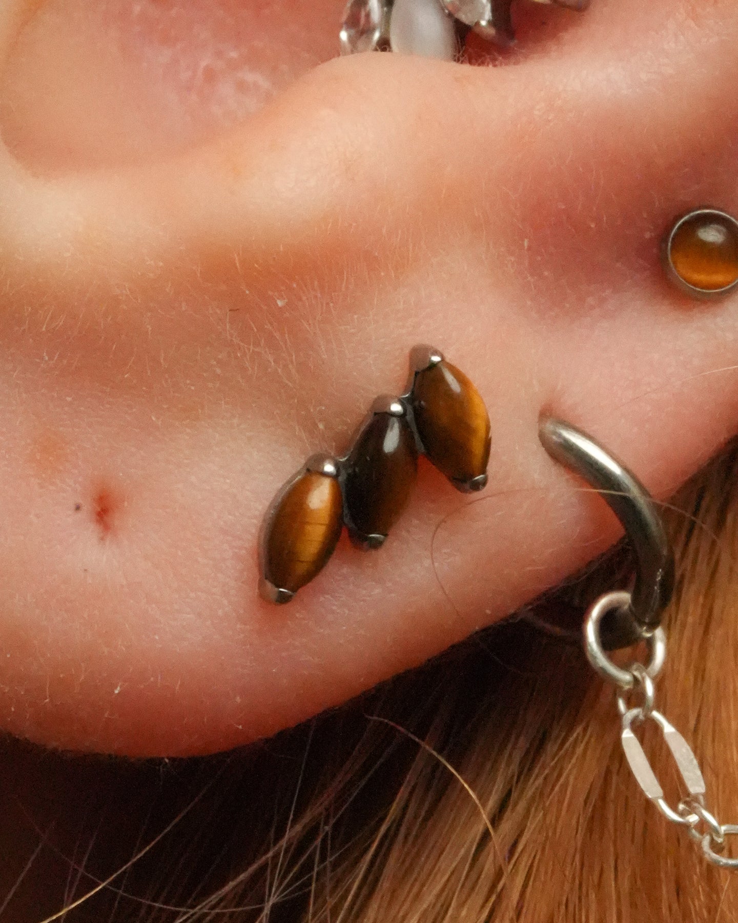 Kolczyk do ucha "3 stone tiger eye" – złoty tytanowy labret z tygrysim okiem