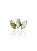 Kolczyk do ucha "straight 3 stone peacock" – tytanowy labret z muszlą abalone