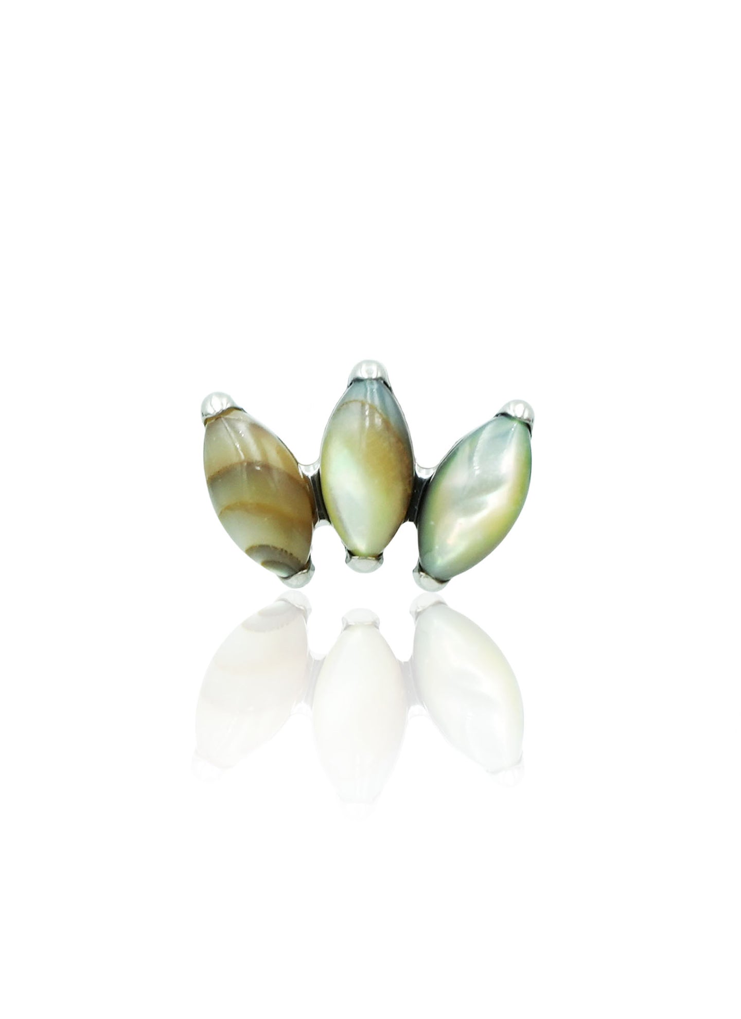Kolczyk do ucha "straight 3 stone peacock" – tytanowy labret z muszlą abalone