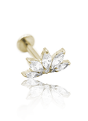 Kolczyk do ucha "Clear rosette gold" - tytanowy labret z cyrkoniami