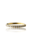 Kolczyk do ucha "Straight line gold" - tytanowy clicker z cyrkoniami