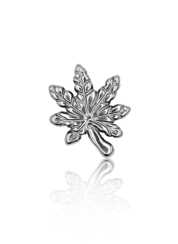 Kolczyk do ucha "Weed" - tytanowy labret liść