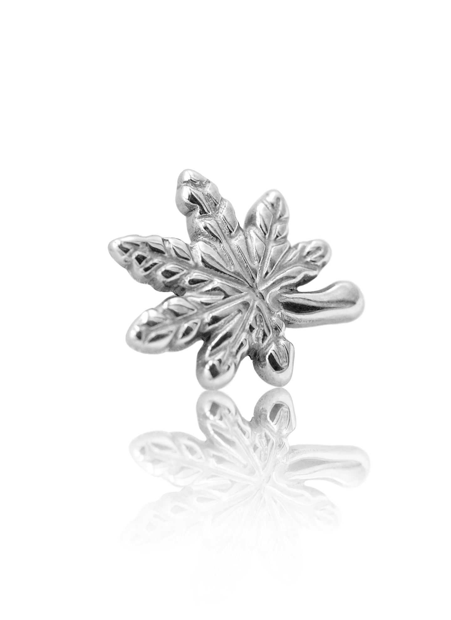 Kolczyk do ucha "Weed" - tytanowy labret liść