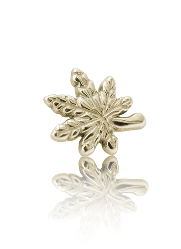 Kolczyk do ucha "Weed" - anodyzowany tytanowy labret liść