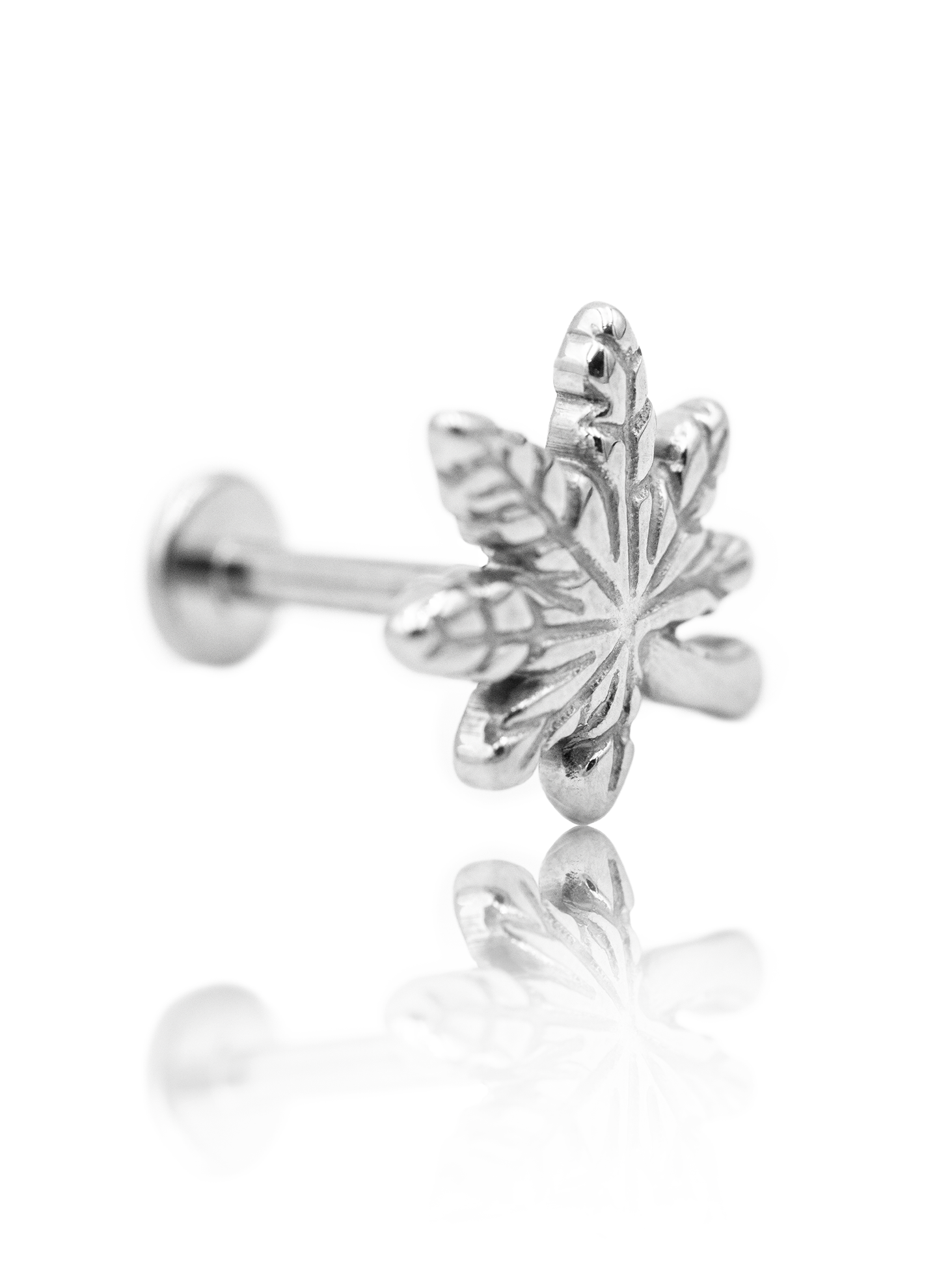 Kolczyk do ucha "Weed" - tytanowy labret liść