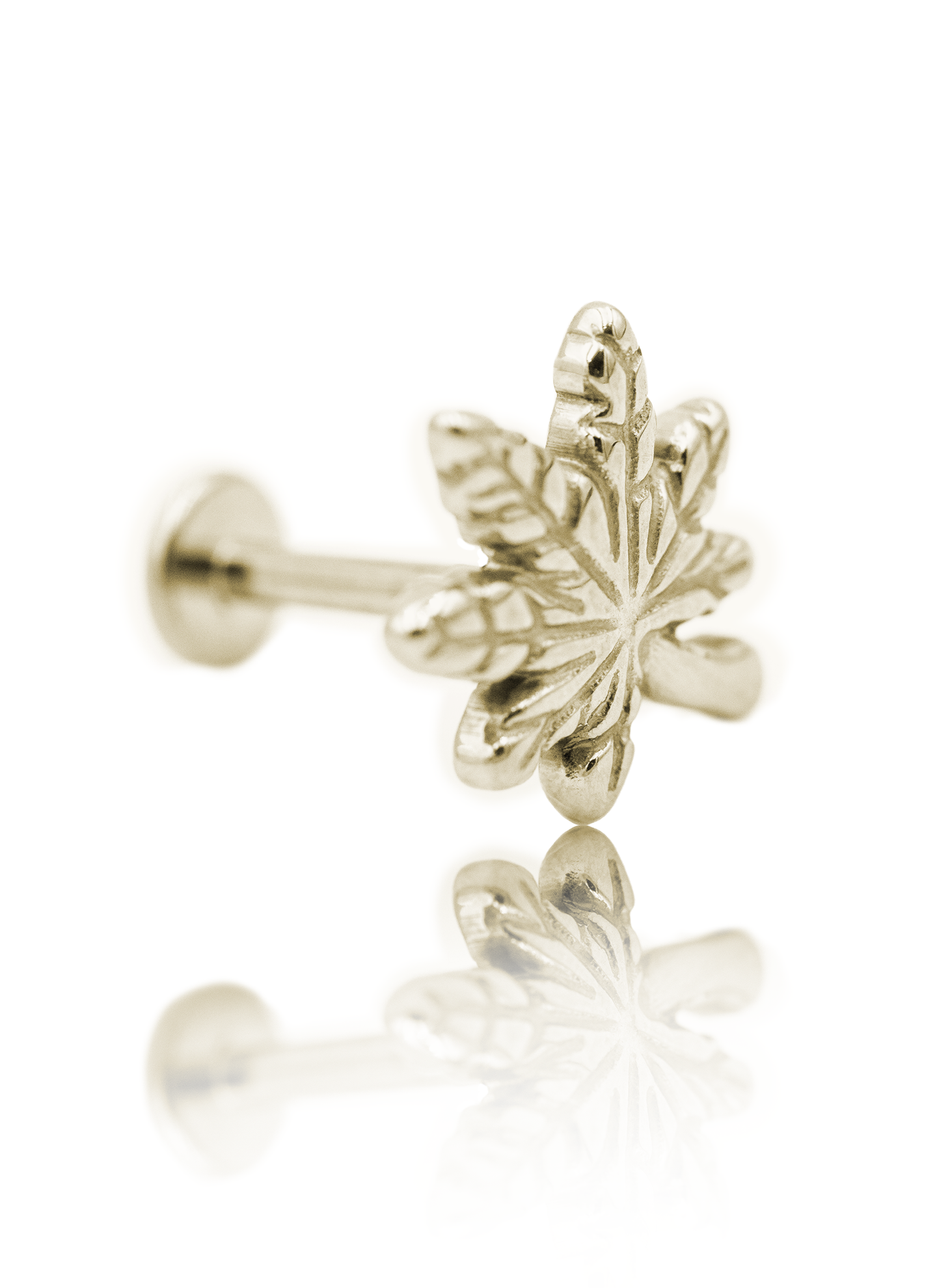 Kolczyk do ucha "Weed" - anodyzowany tytanowy labret liść