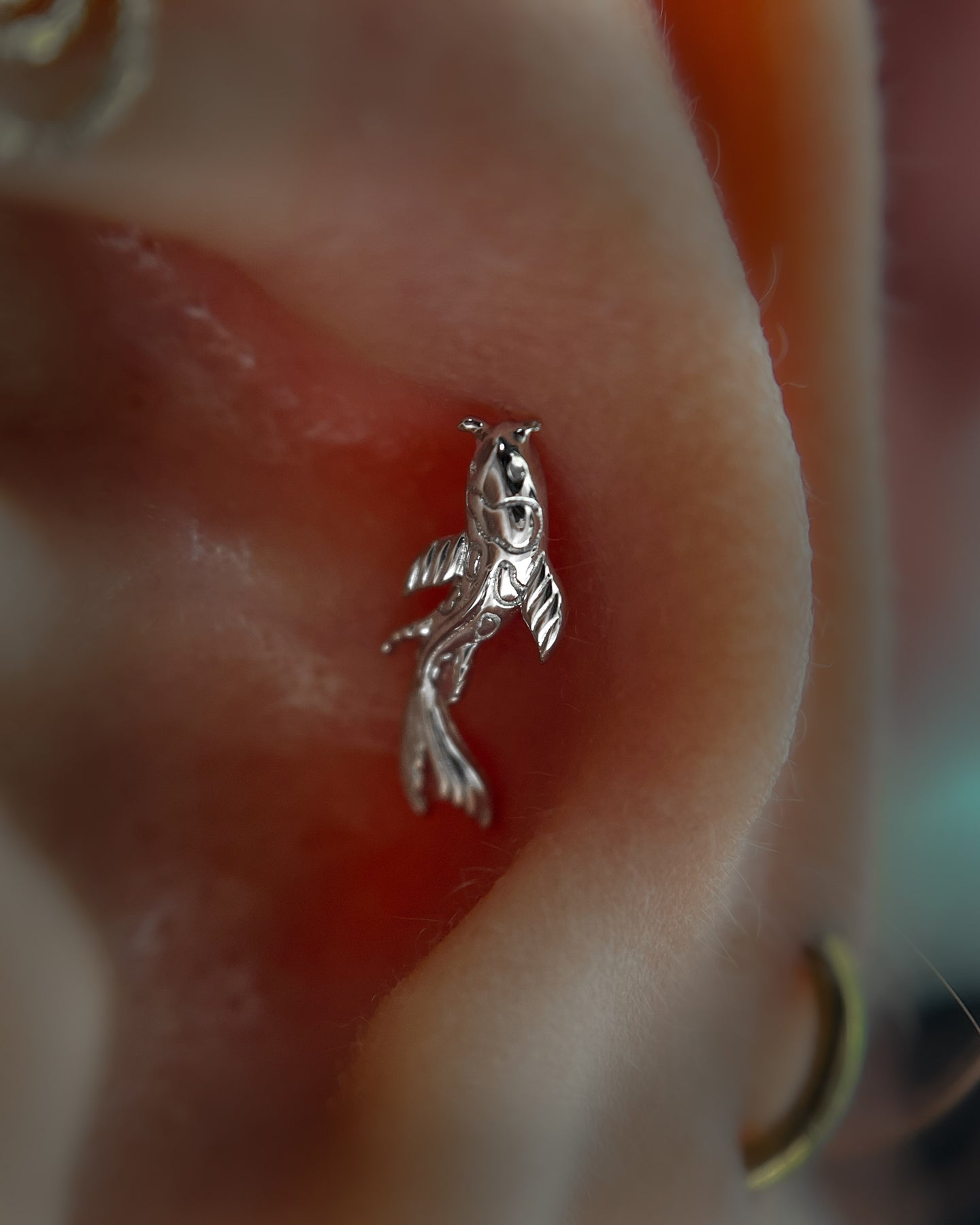 Kolczyk do ucha "Koi fish" - tytanowy labret z rybką Koi