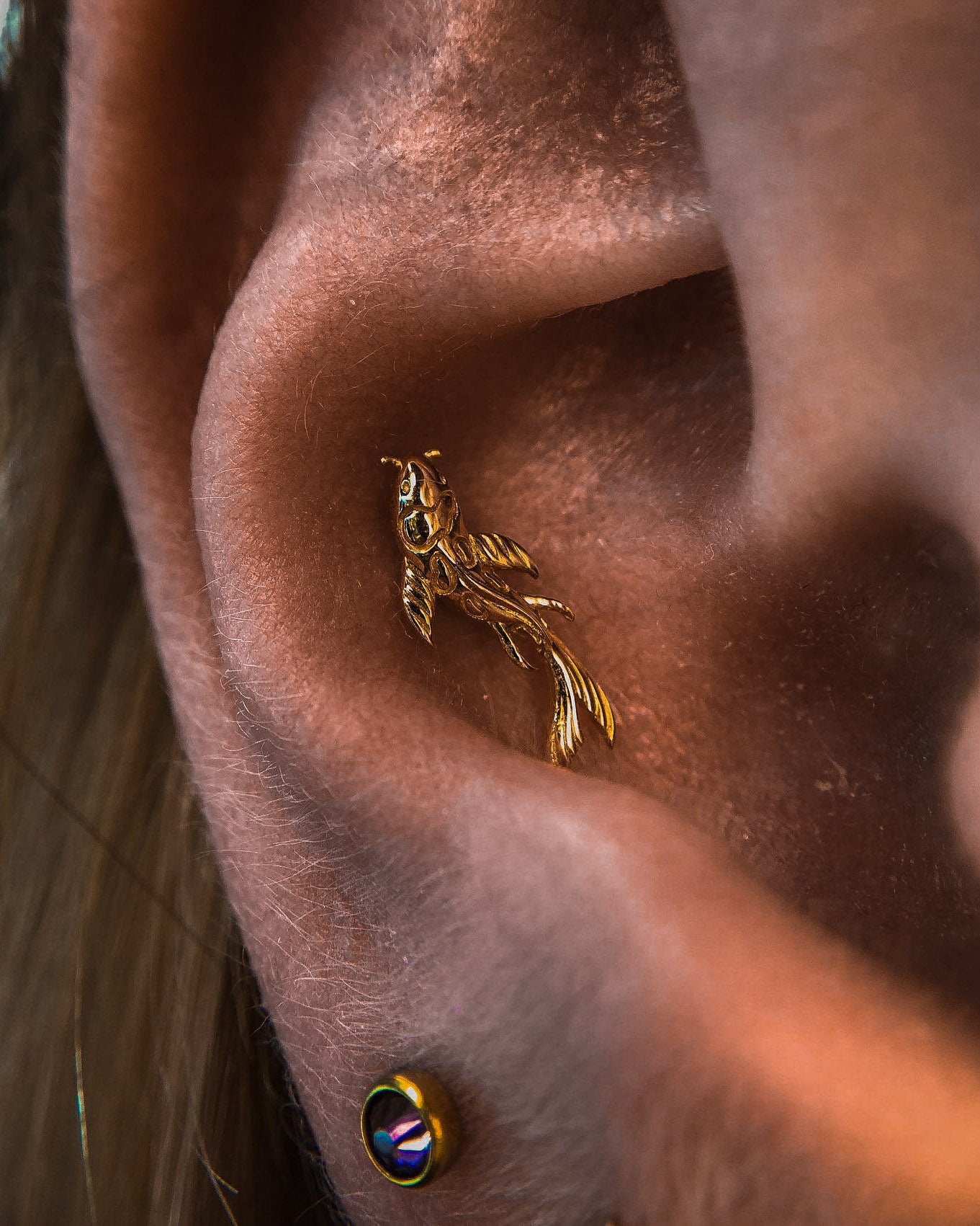 Kolczyk do ucha "Koi fish" - anodyzowany tytanowy labret z rybką Koi