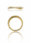 "Twisted line gold" earring - titanium clicker with cubic zirconia